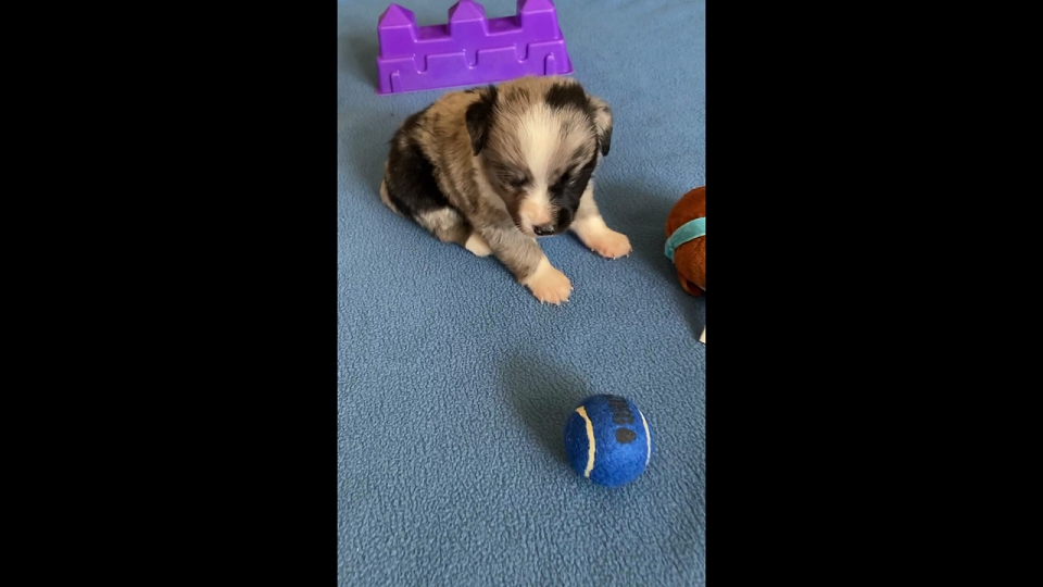 Mahlan playing on a blanket