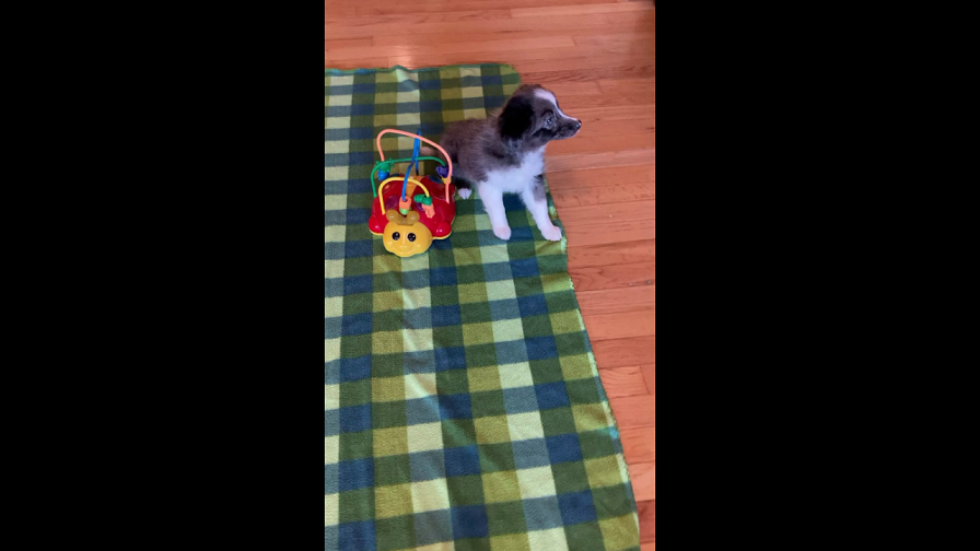 Zipporah playing on a blanket