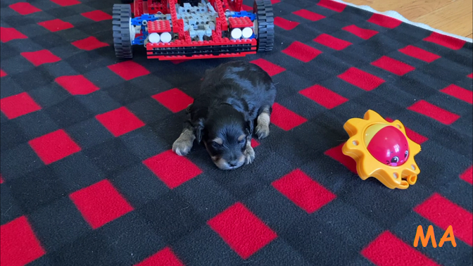 Jael on the blanket