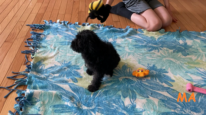 Prisca on the blanket