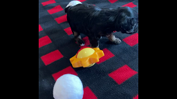 Miriam playing on a blanket