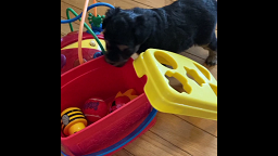 Abram playing on a blanket